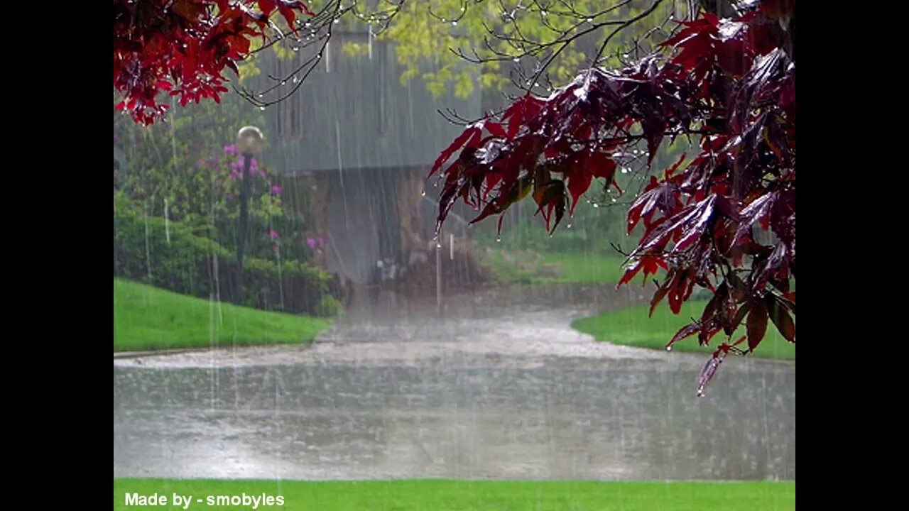 RELAXING ZEN Sleeping sound for 10 minutes ! Rain and Thunder sound!