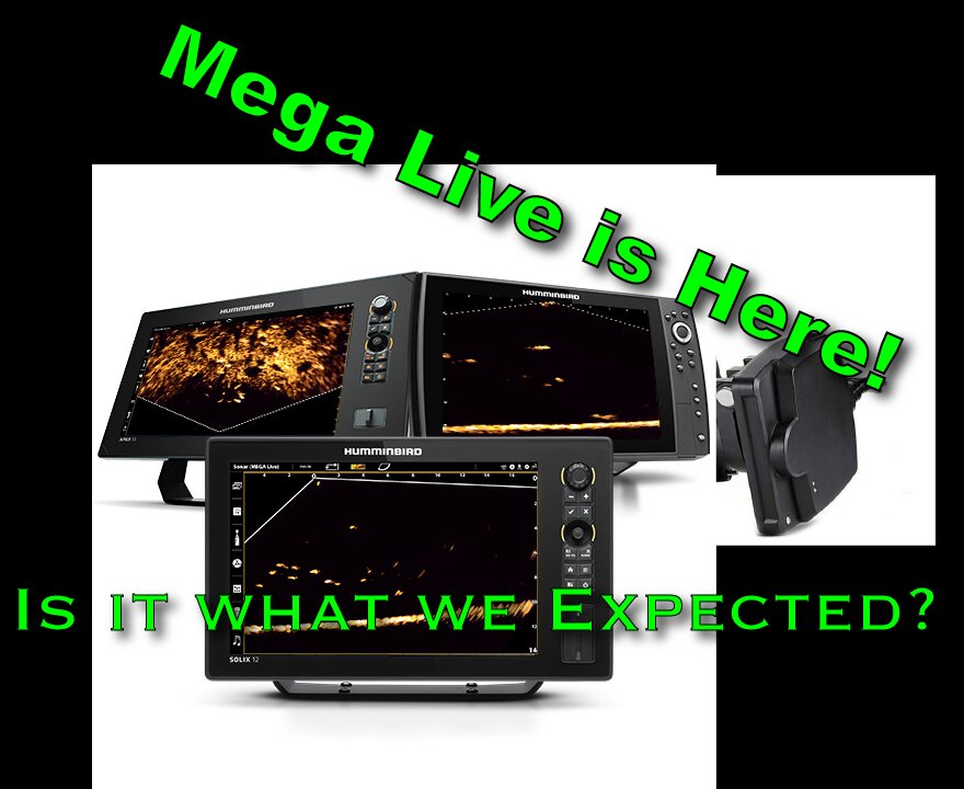 Mega Live is here!