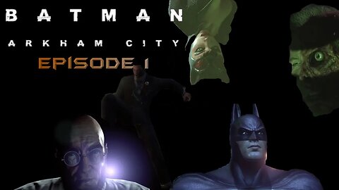 Dark Knight, Bad Kitty - Batman: Arkham City - E1