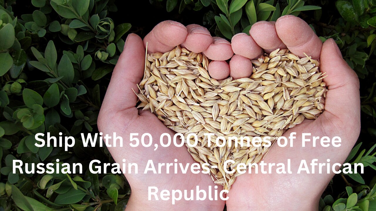 Russian Grain Aid: A Beacon of Hope for Central African Republic