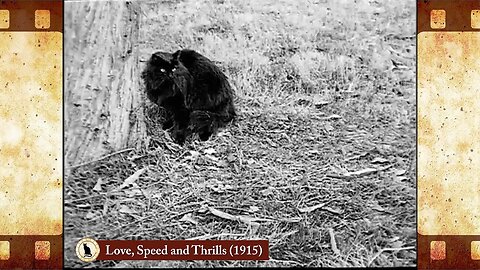 Love, Speed and Thrills (1915) 🐱 Cat Movies 🎥🐈