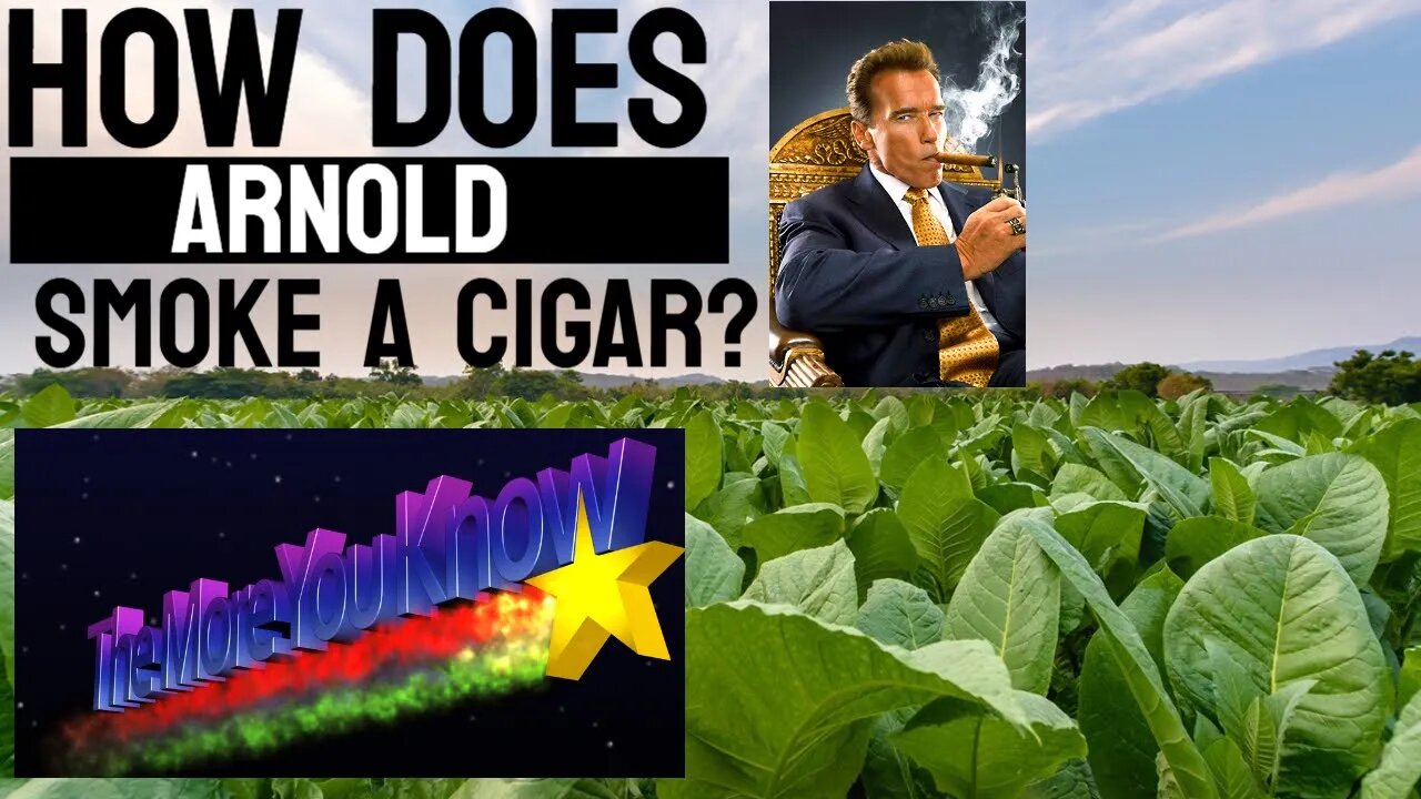 How Does Arnold Schwarzenegger Smoke A Cigar? | Cigar Prop