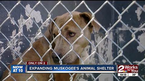 Muskogee animal shelter looking to expand