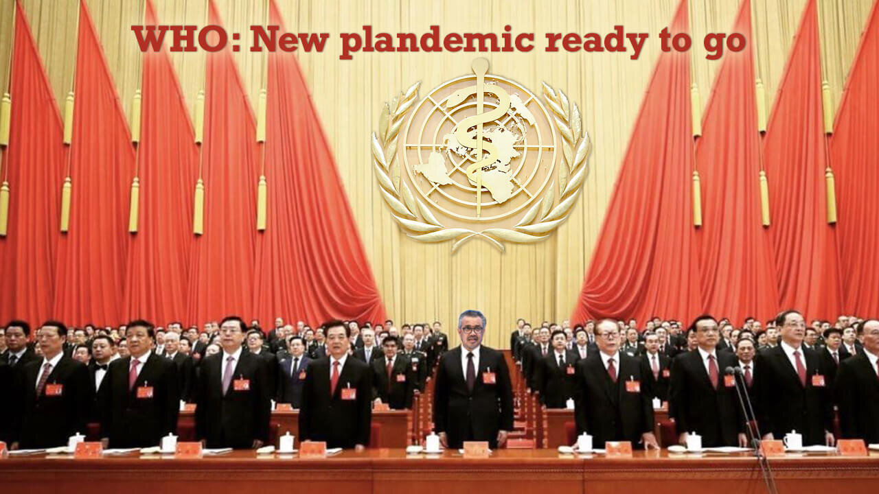 New Plandemic ready to go - WHO & EU Cooperation