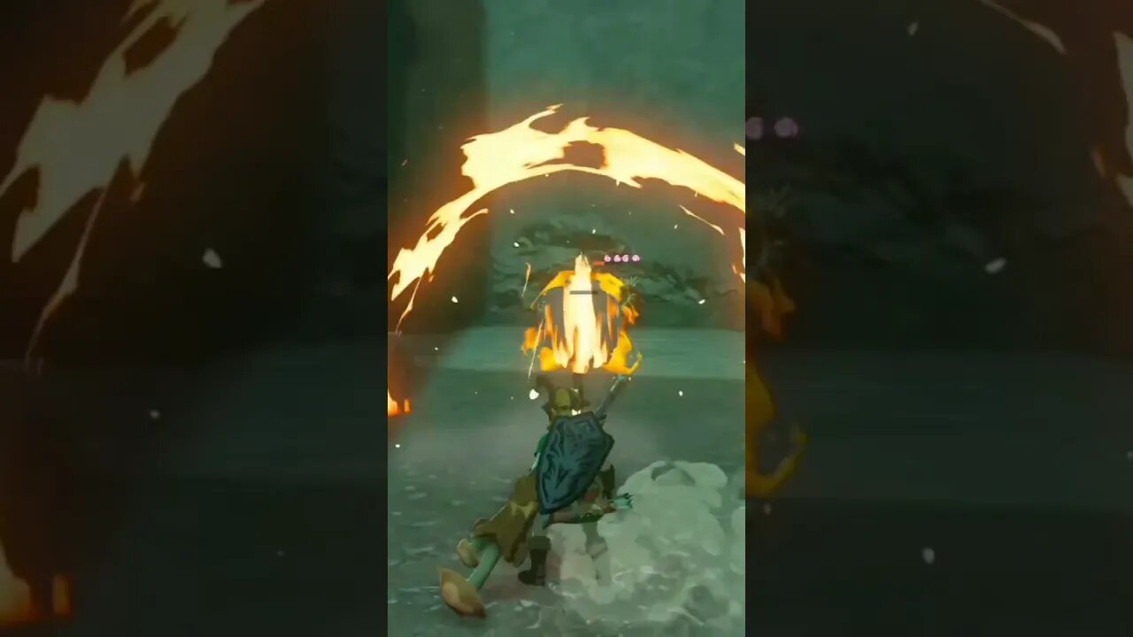 The Legend of Zelda Tears Of the Kingdom no fighting you to.