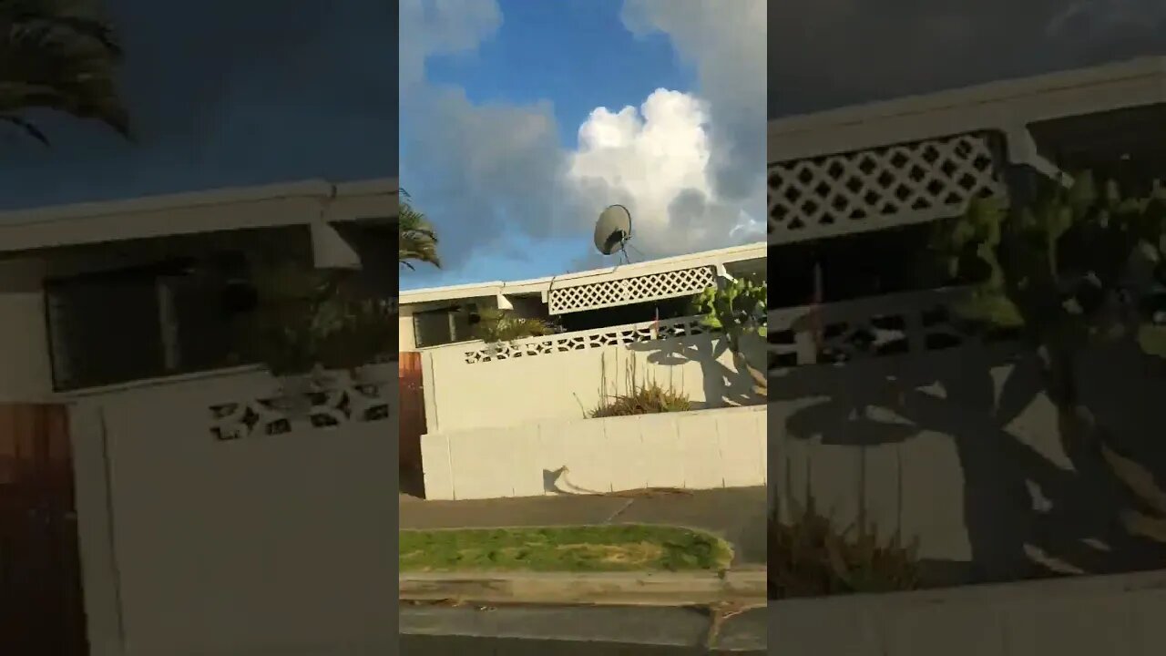 the hood