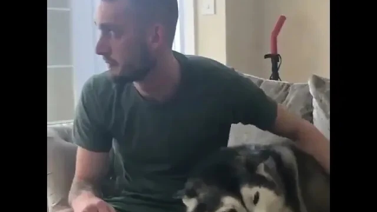 Best funny dog πΆππ#bestanimal #dog #shorts #animals #trending
