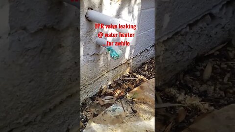 This leaking pipe means a water heater TPR valve is leaking and needs to be replaced