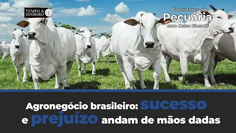 Agronegócio brasileiro: sucesso e prejuízo andam de mãos dadas , afirma Celso Ricardo