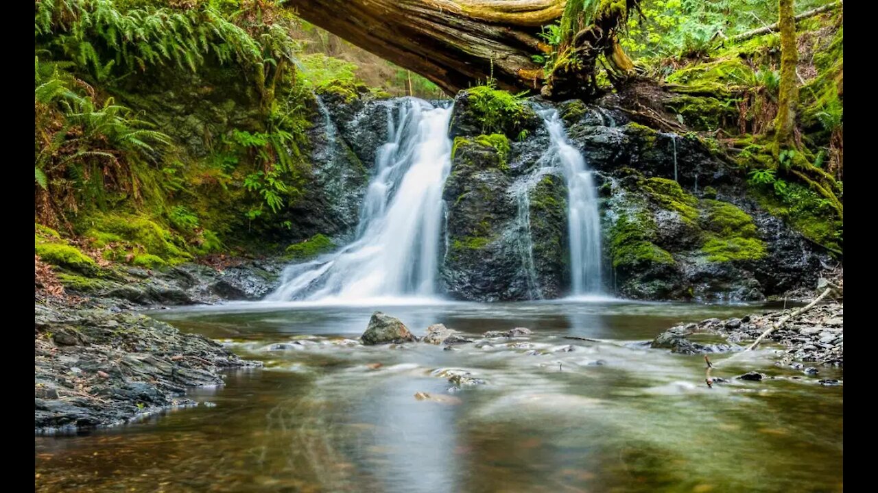 Relaxing Music With Birds Sound Beautiful Nature Peaceful Piano