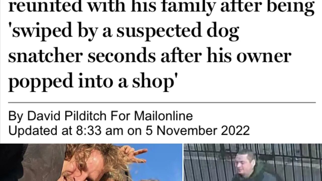 Good news - they have got the dog back