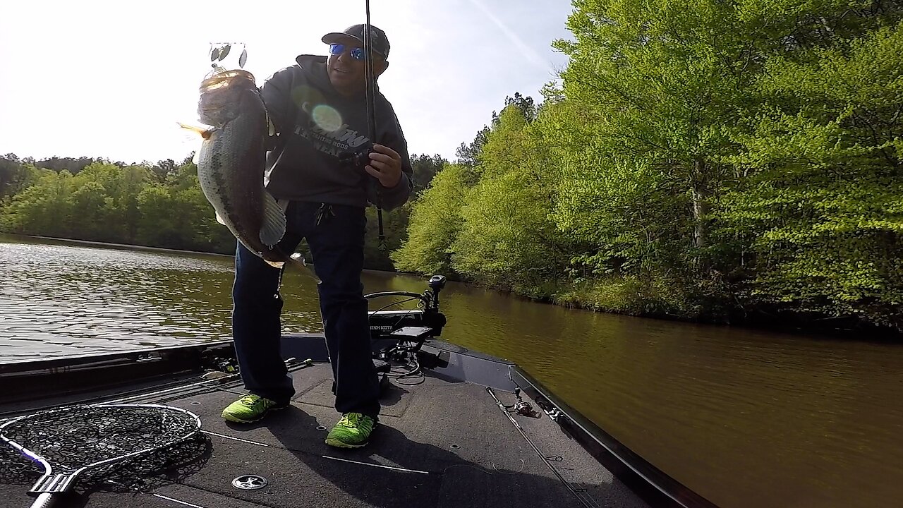 CVA Outdoors - Spinnerbait Bass Fishing | Central Virginia Outdoors