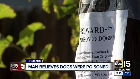 Valley neighborhood on edge after two dogs were poisoned