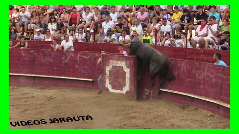 ARGUEDAS ( NAVARRA ) TARDE VACAS PLAZA ( DOMINGO 14 AGOSTO 2022 ) ALFREDO IÑIGUEZ