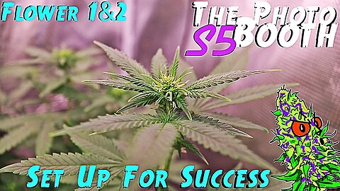 The Photo Booth S5 Ep. 10 | Flower Weeks 1 & 2 | Set Up For Success