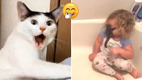 Funniest Cats And Dogs Best Funny Animal Videos #7