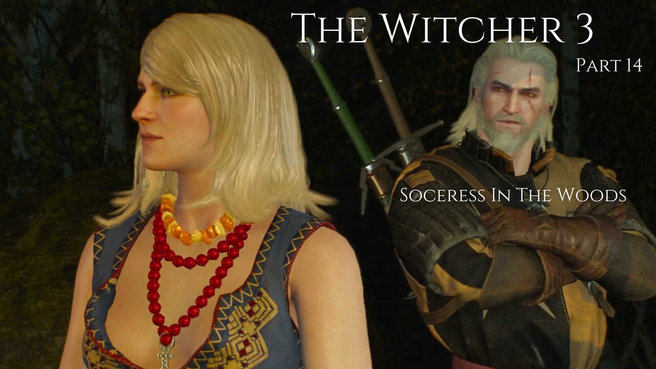 The Witcher 3 Wild Hunt Part 14 - Soceress In The Woods