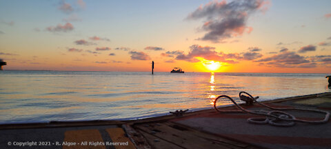 South Padre Island Sunset - with Bagpipes at Lobo Del Mar Cafe'