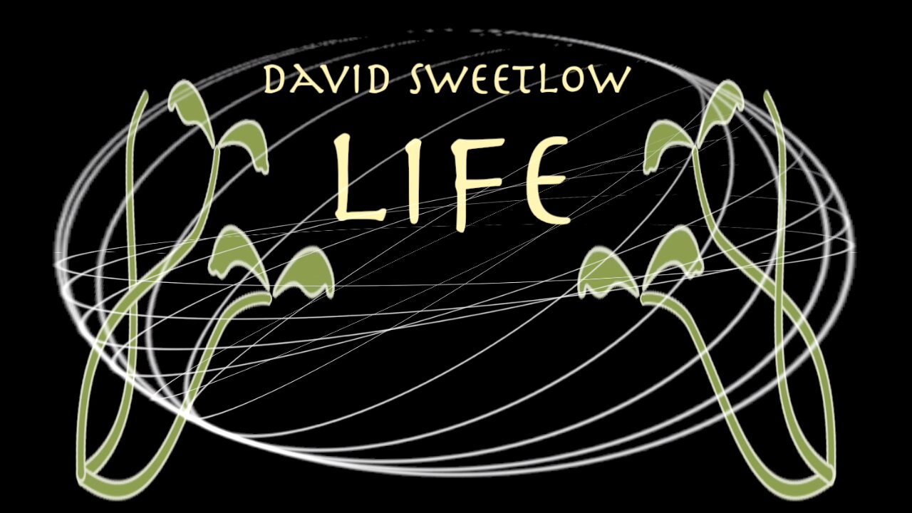 David SweetLow - Life