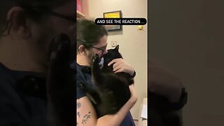 Cat bite #cat #catvideos #kitten #cutecat #catlover #shortsviral #puppy #pet #viralshort #shortviral