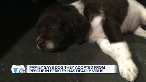 Family says dog they adopted from rescue from Berkley has deadly virus