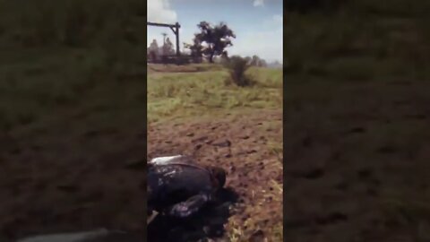 Horse flips