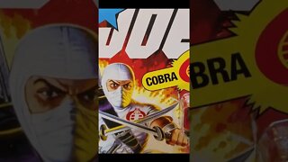 STORM SHADOW COBRA NINJA Why it's cool?