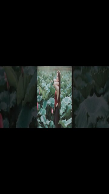 Forever Nomyn #shortsvideo #shortvideo #shorts #calm #music #relaxsation