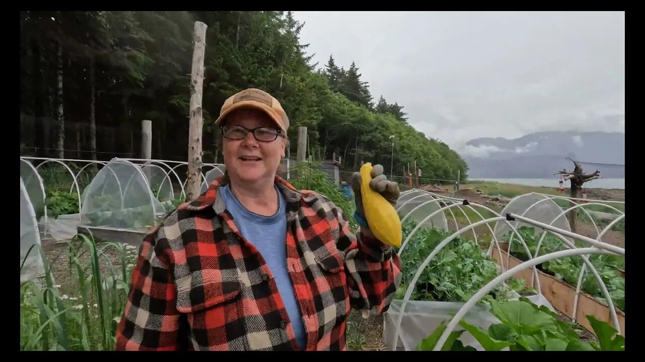 Halibut fishing and garden update