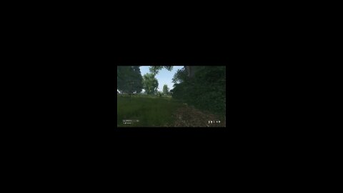 PvP/Sniping Montage DayZ