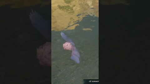 #hogwartslegacy #glitch #magicalwater