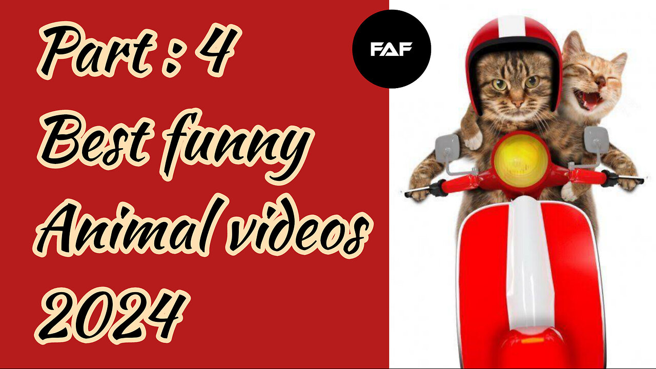 Best Funny Animal Videos Part : 4