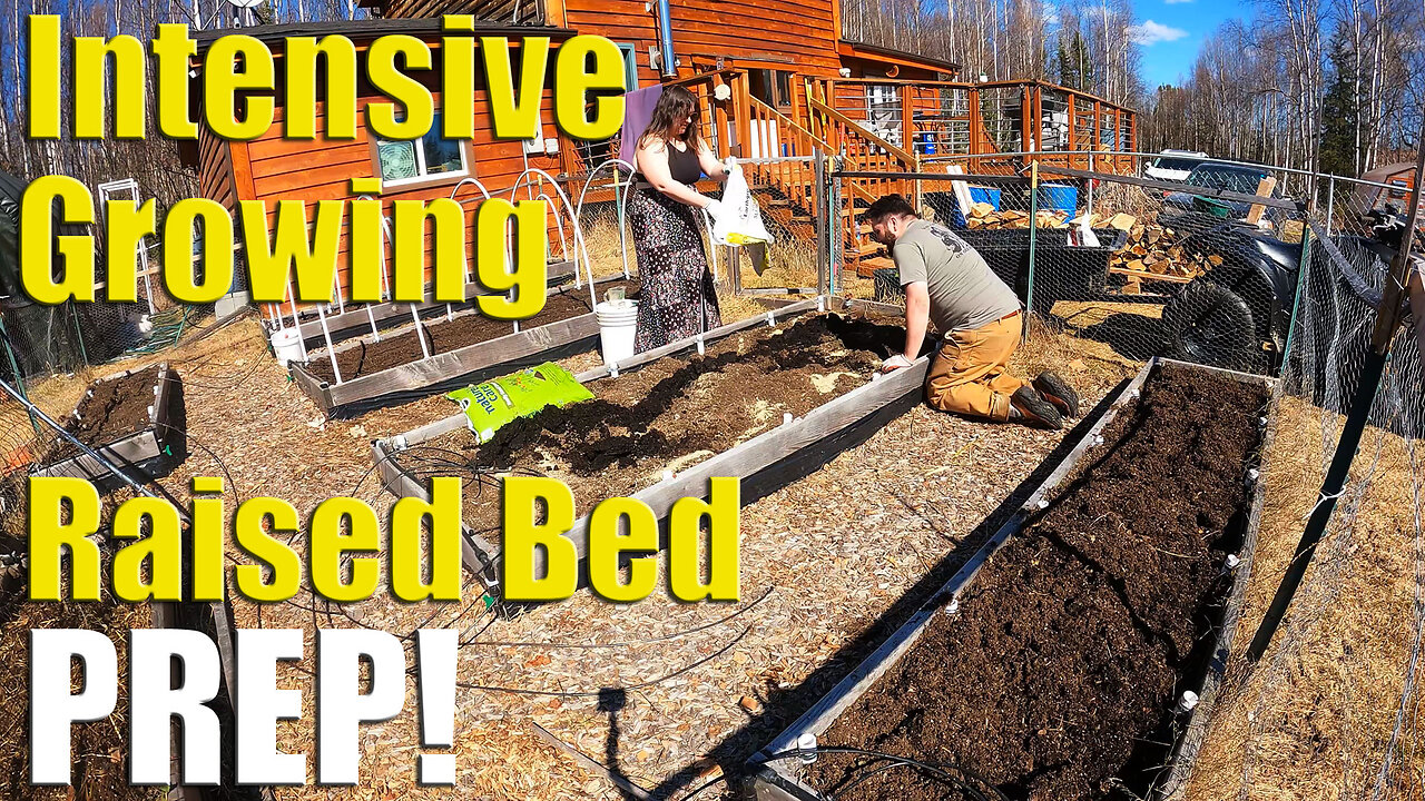 How We Prepare Our Raised Beds For Growing Intensively