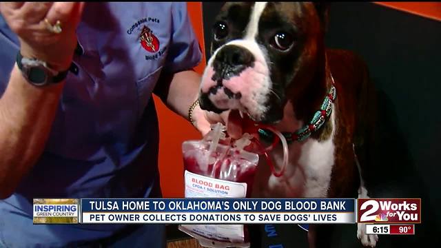 Tulsa home to Oklahoma's only dog blood bank