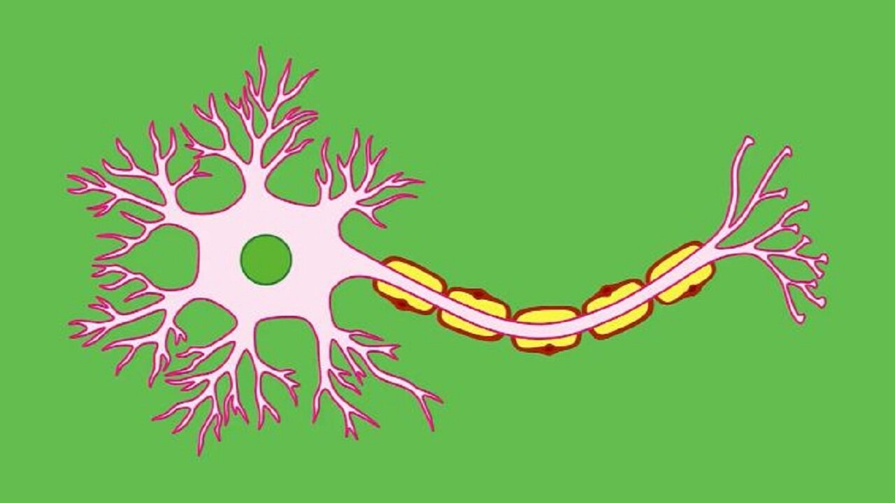 BRAIN NEURONS - SO MUCH WE CAN DO WITH THEM