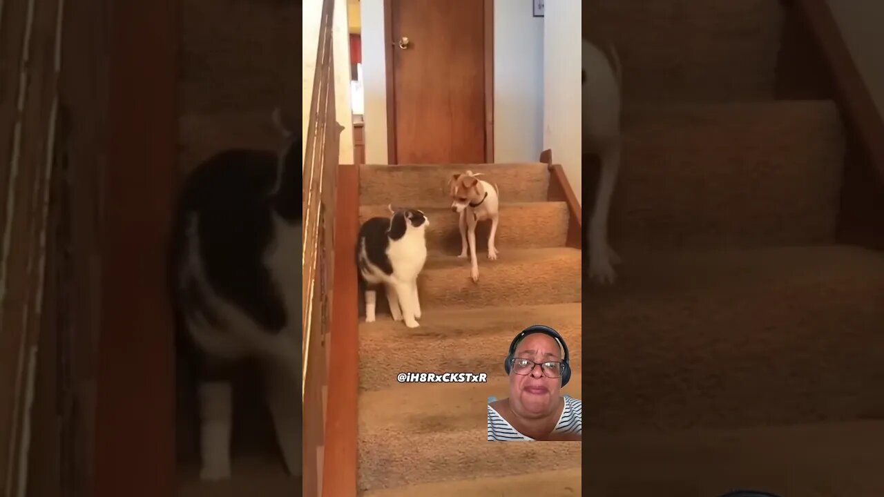 I can’t stop laughing. #shorts