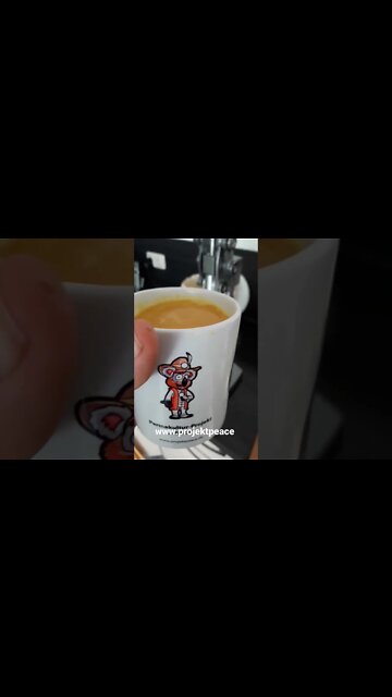 Die Orangensaison beginnt