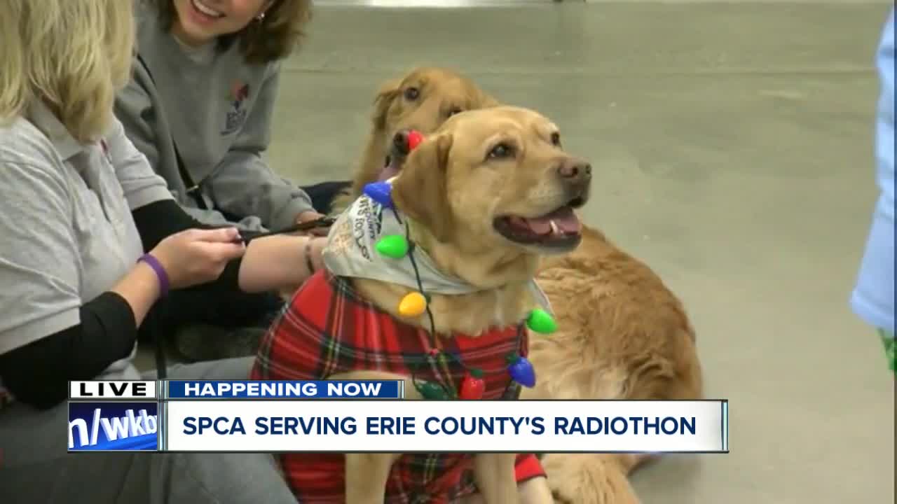 SPCA Serving Erie County's Radiothon donation help the smallest of friends