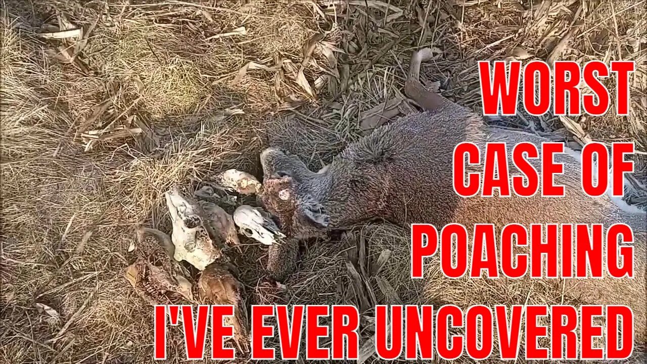 Whitetail Poachers | Deadhead Story Takes A Twisted Turn