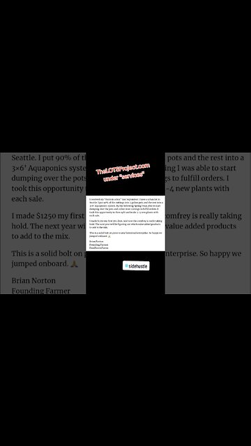 Get started with a sustainable extra revenue stream today #sidehustle #thelotsproject