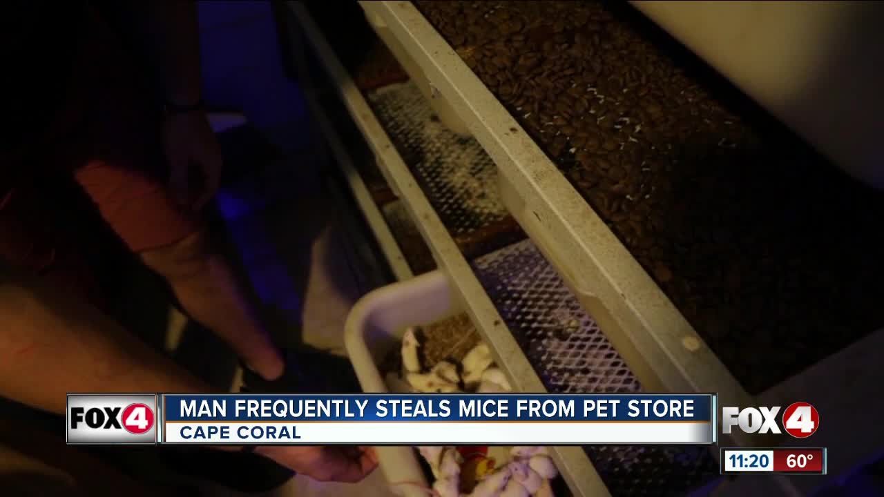 Customer caught stealing mice from pet store for months