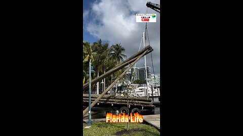 Florida Life