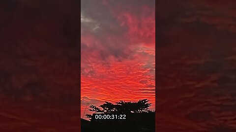 [FREE] PARTYNEXTDOOR TYPE BEAT 2023 “LIFE LONG”