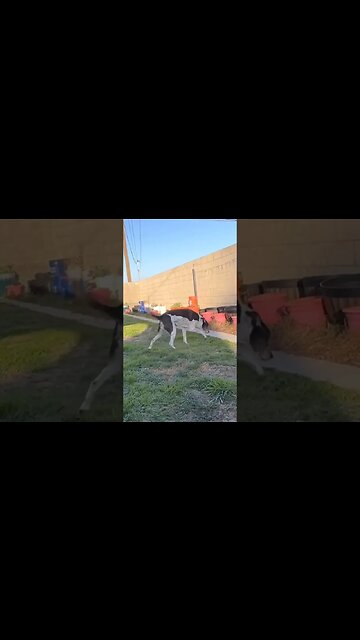 uh oh...Ritsie just couldn't wait until the camera was off🤣🤣🤣