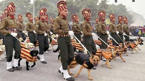 Indian Army Training For Military Working Dog