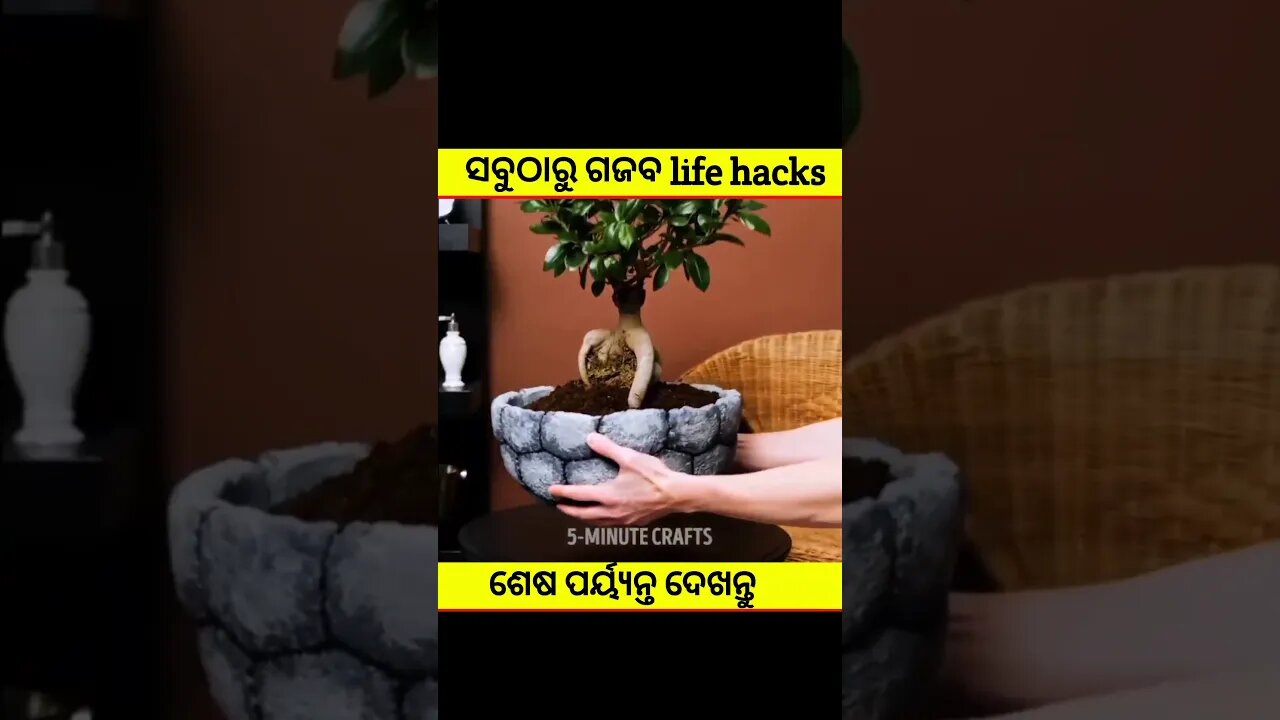 ଘରେ ବନାନ୍ତୁ ଗଛ କୁଣ୍ଡ😀😃#odia#odiastory#story#natiacomedy#factvio#youtubeshort#shorts#odiamoralgapa