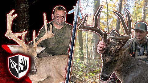 Two Mature Bucks Hit Their Last Scrape!