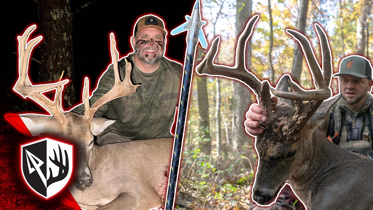 Two Mature Bucks Hit Their Last Scrape!