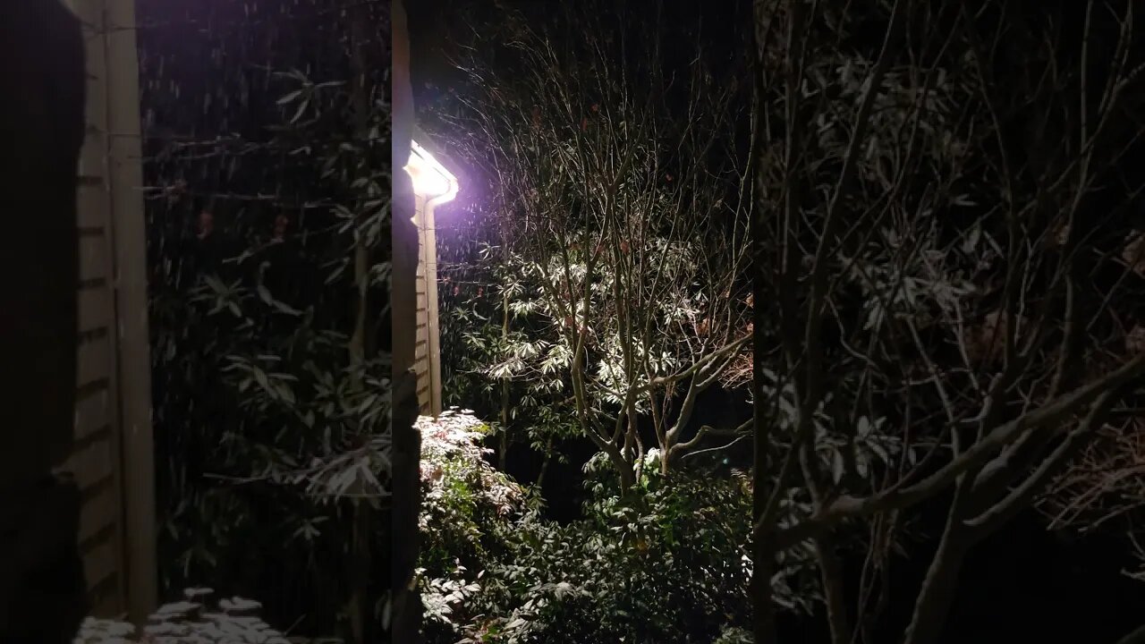 Snow in Big Canoe - 12/26/22