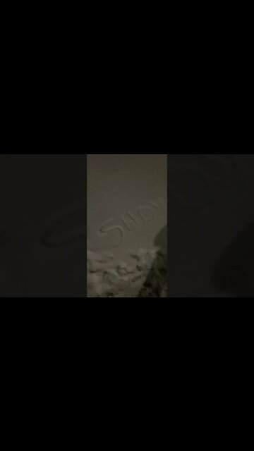 Shovel Your $%@&ing Sidewalk #Shorts